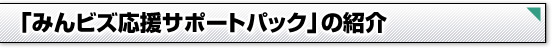 「みんビズ応援サポートパック」の紹介